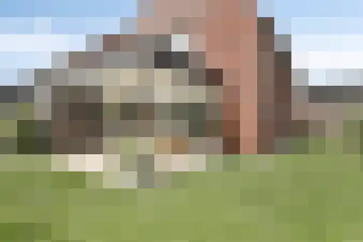 Souverijnsakker 14 Veghel thumbnail 42