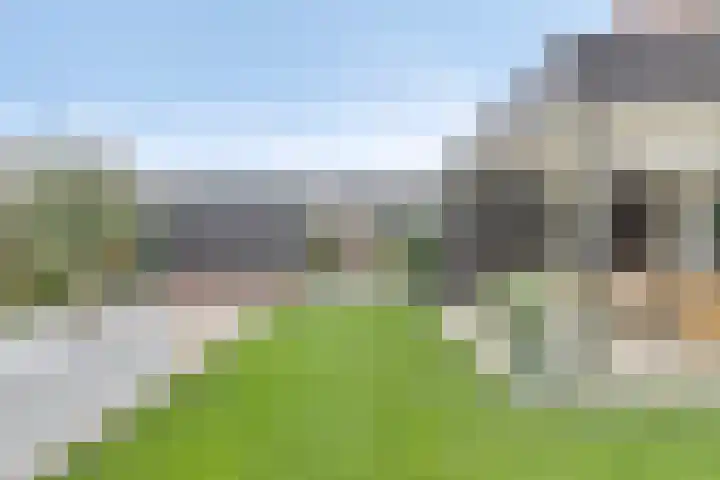 Souverijnsakker 14 Veghel thumbnail 43