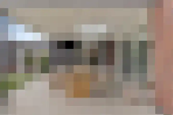 Souverijnsakker 14 Veghel thumbnail 44