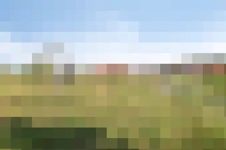Souverijnsakker 14 Veghel thumbnail 46