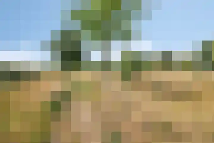Souverijnsakker 14 Veghel thumbnail 47