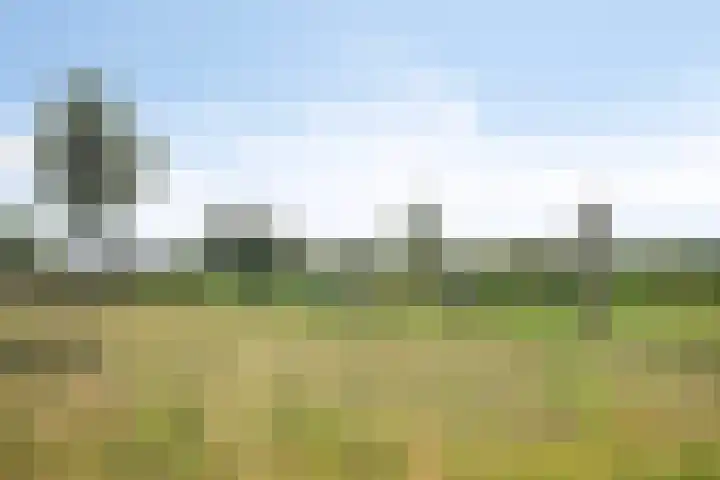 Souverijnsakker 14 Veghel thumbnail 48