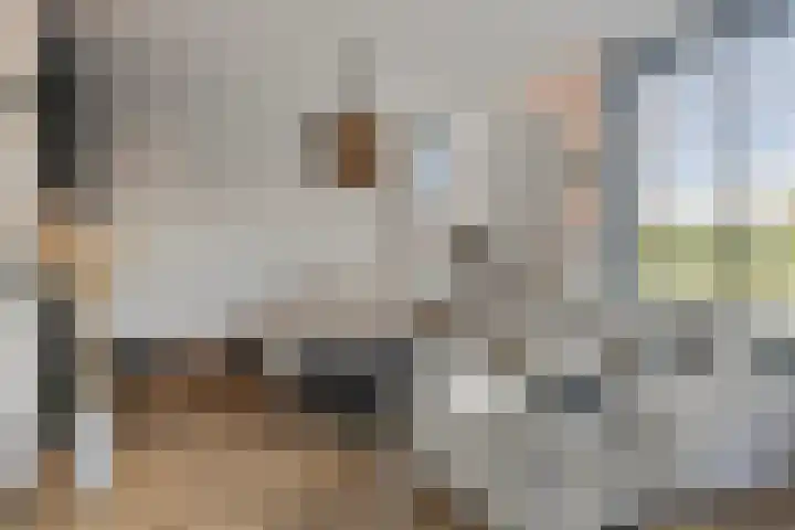 Souverijnsakker 14 Veghel thumbnail 9