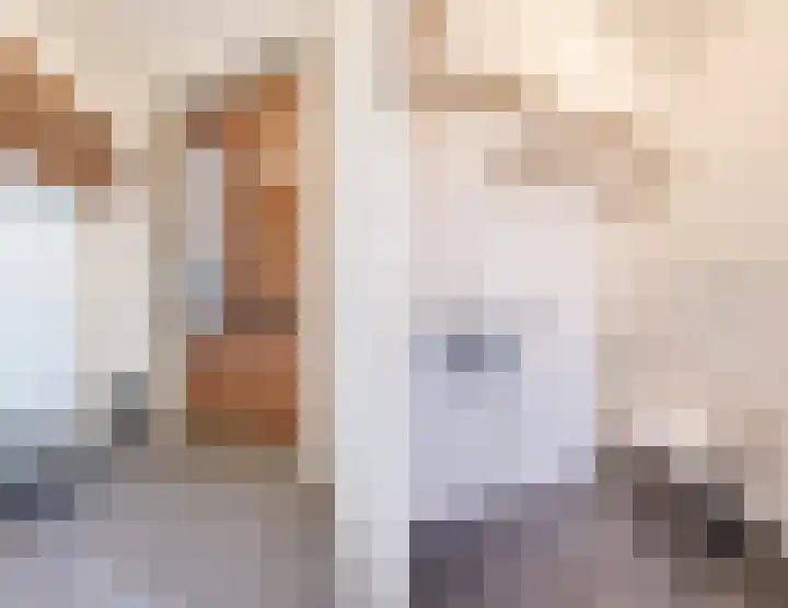 Souverijnsakker 3 Veghel thumbnail 10