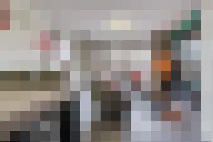 Souverijnsakker 3 Veghel thumbnail 11