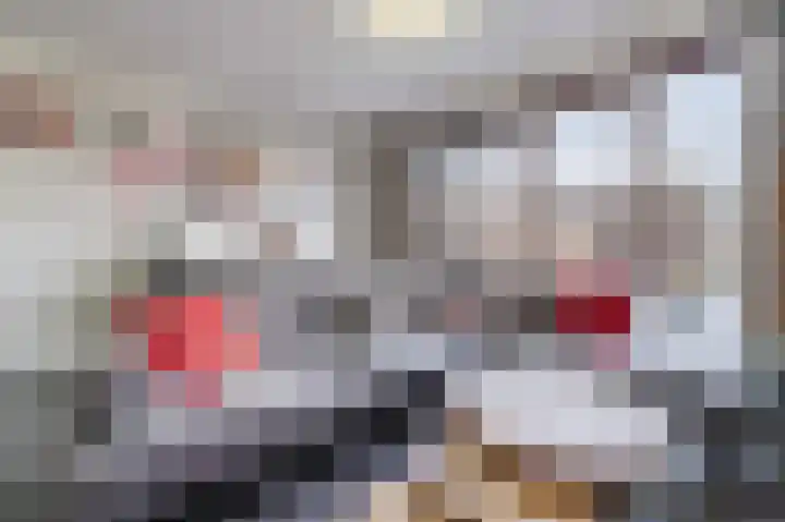 Souverijnsakker 3 Veghel thumbnail 13