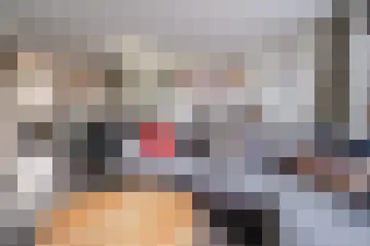 Souverijnsakker 3 Veghel thumbnail 16