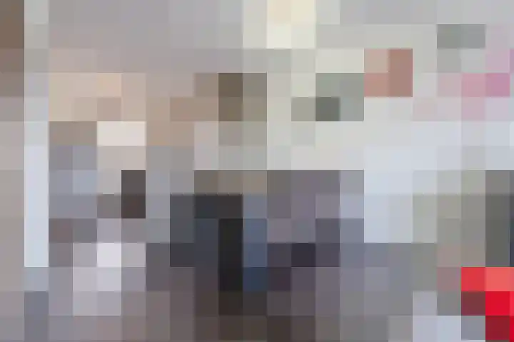 Souverijnsakker 3 Veghel thumbnail 17