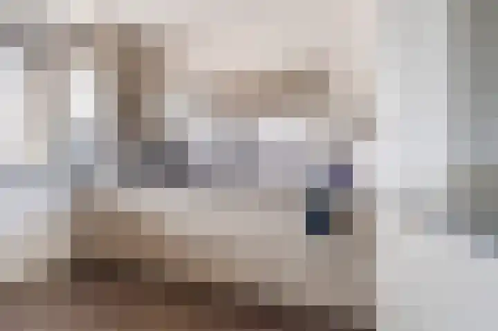 Souverijnsakker 3 Veghel thumbnail 19