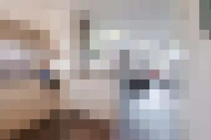 Souverijnsakker 3 Veghel thumbnail 21