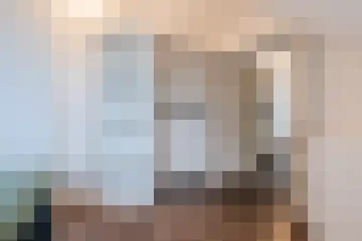 Souverijnsakker 3 Veghel thumbnail 26