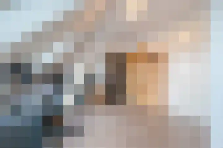 Souverijnsakker 3 Veghel thumbnail 28
