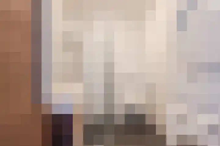 Souverijnsakker 3 Veghel thumbnail 29