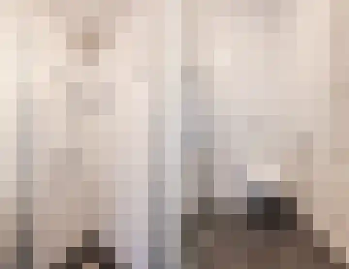 Souverijnsakker 3 Veghel thumbnail 31