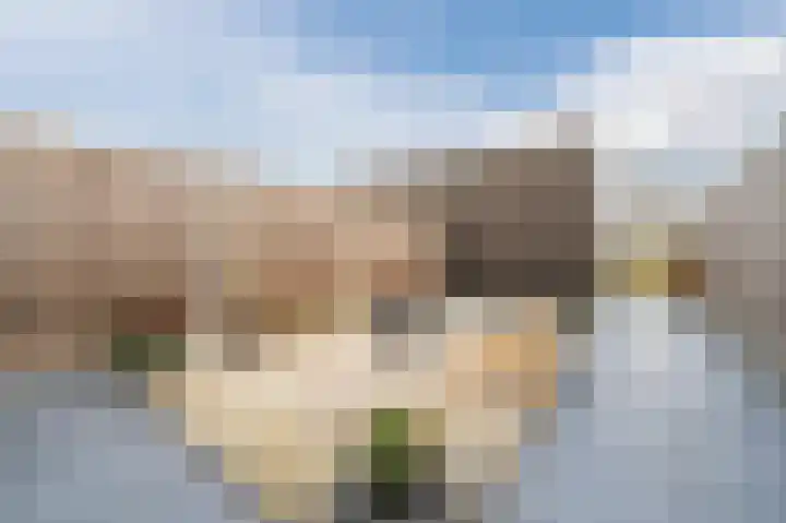 Souverijnsakker 3 Veghel thumbnail 35