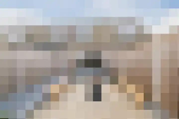 Souverijnsakker 3 Veghel thumbnail 36