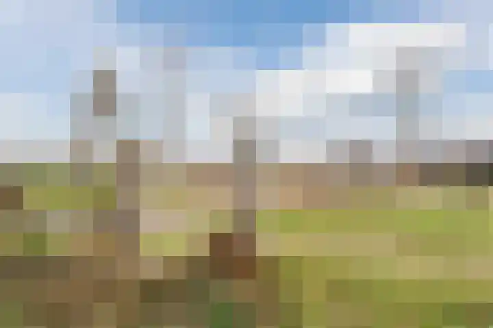 Souverijnsakker 3 Veghel thumbnail 46