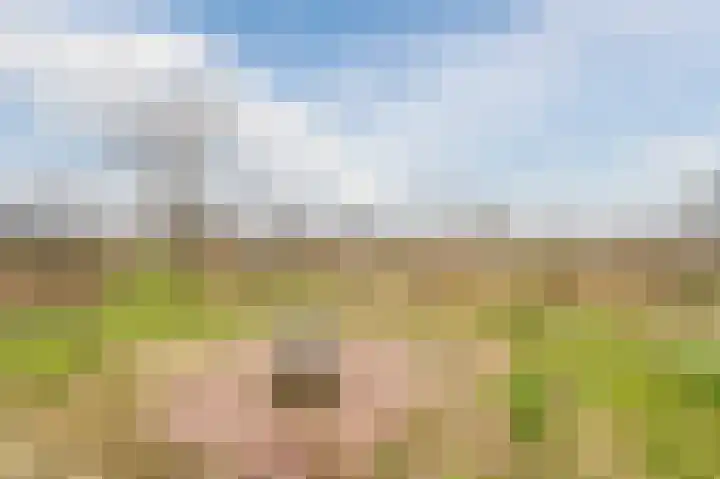Souverijnsakker 3 Veghel thumbnail 48