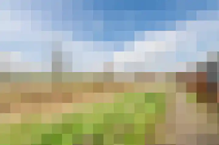 Souverijnsakker 3 Veghel thumbnail 49