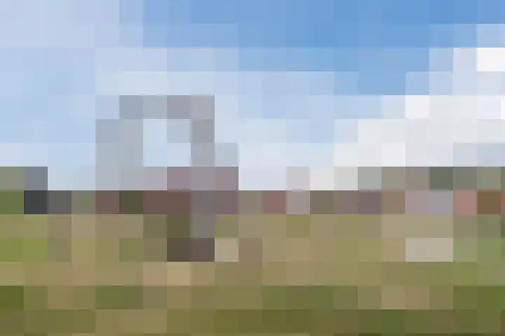 Souverijnsakker 3 Veghel thumbnail 50