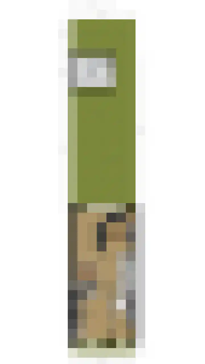 Souverijnsakker 3 Veghel thumbnail 51