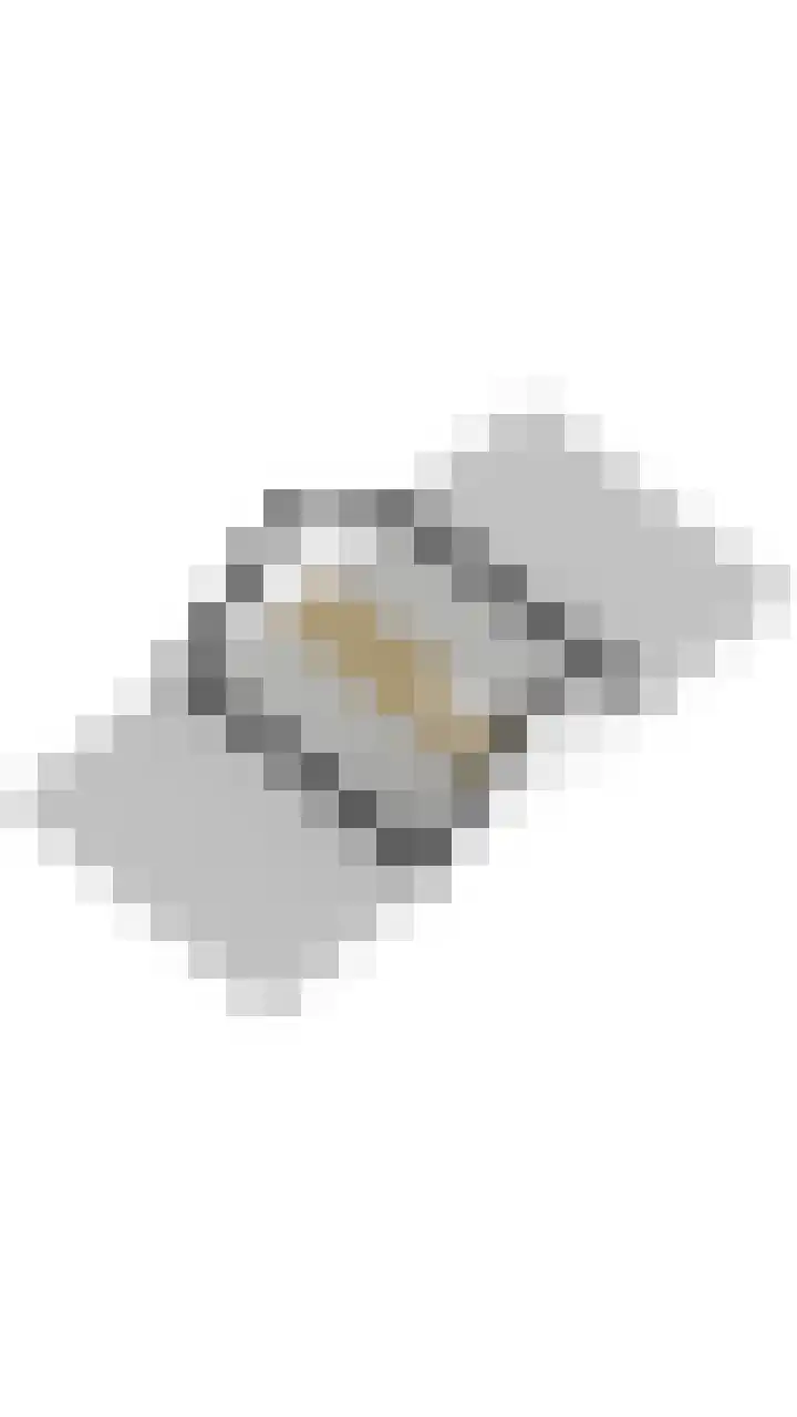 Souverijnsakker 3 Veghel thumbnail 54
