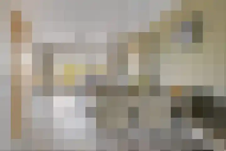 Souverijnsakker 5 Veghel thumbnail 10