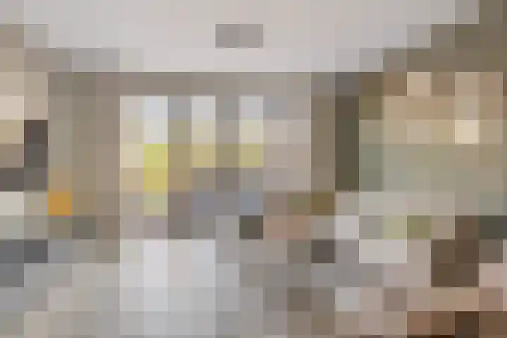 Souverijnsakker 5 Veghel thumbnail 12