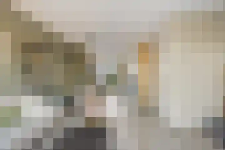 Souverijnsakker 5 Veghel thumbnail 13