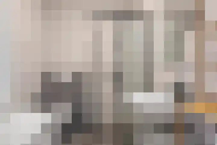 Souverijnsakker 5 Veghel thumbnail 18