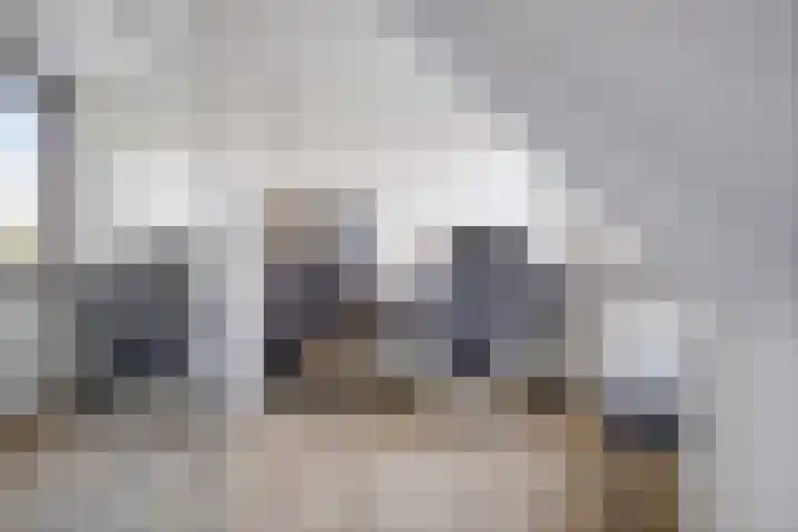 Souverijnsakker 5 Veghel thumbnail 22