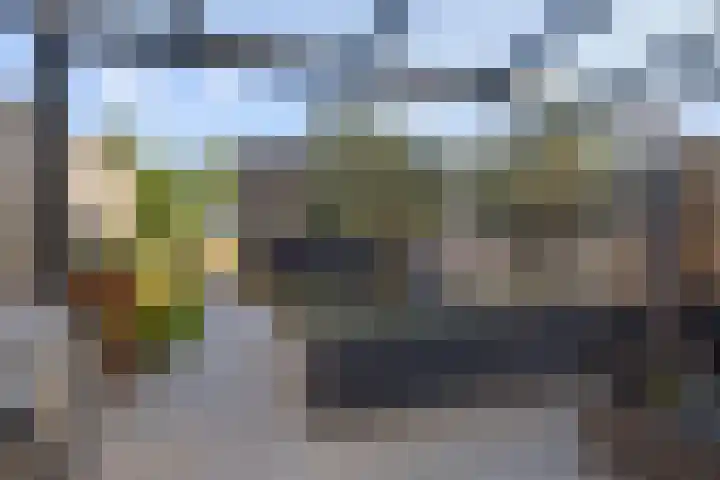 Souverijnsakker 5 Veghel thumbnail 23