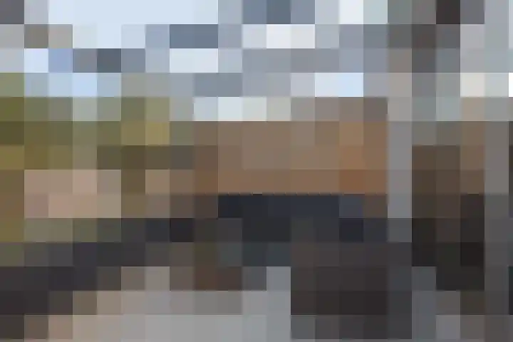 Souverijnsakker 5 Veghel thumbnail 24