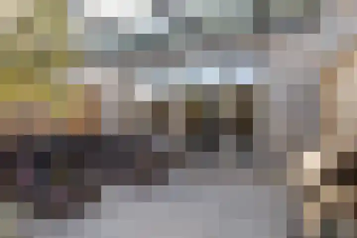 Souverijnsakker 5 Veghel thumbnail 25