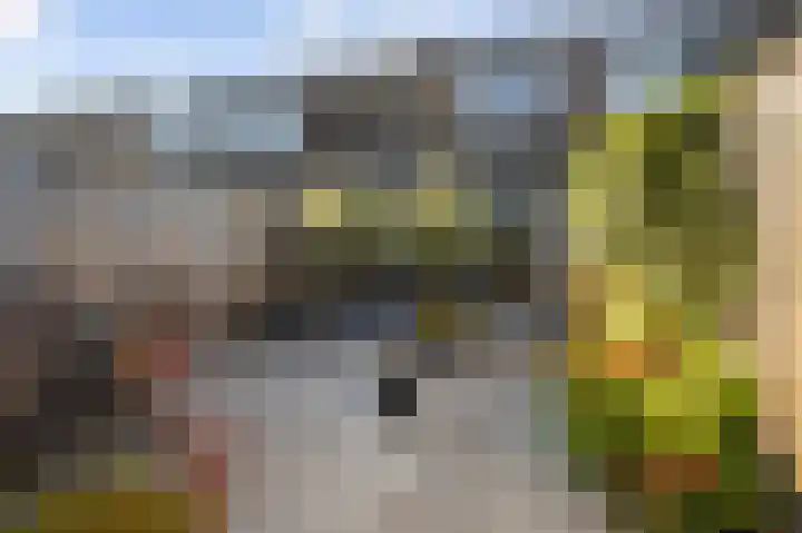 Souverijnsakker 5 Veghel thumbnail 26
