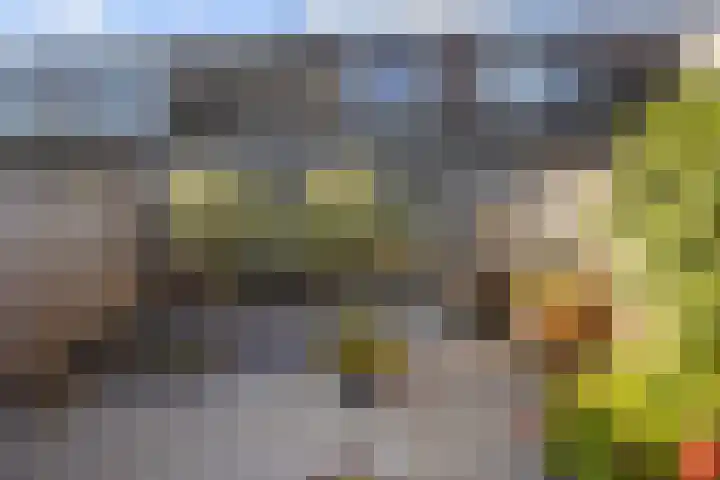 Souverijnsakker 5 Veghel thumbnail 27