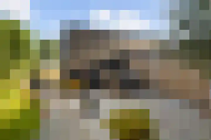 Souverijnsakker 5 Veghel thumbnail 28