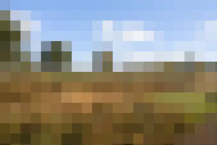 Souverijnsakker 5 Veghel thumbnail 29