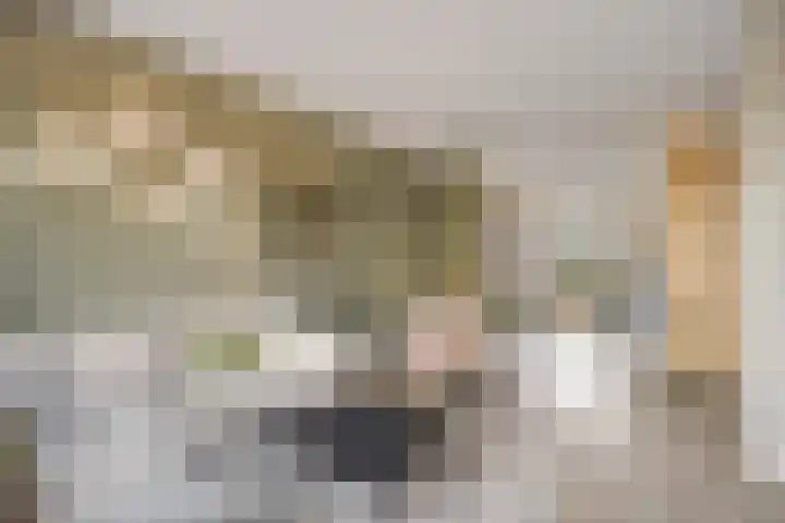 Souverijnsakker 5 Veghel foto 3