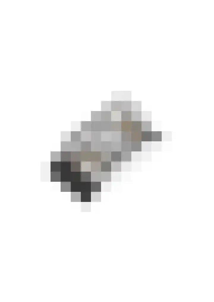 Souverijnsakker 5 Veghel thumbnail 38