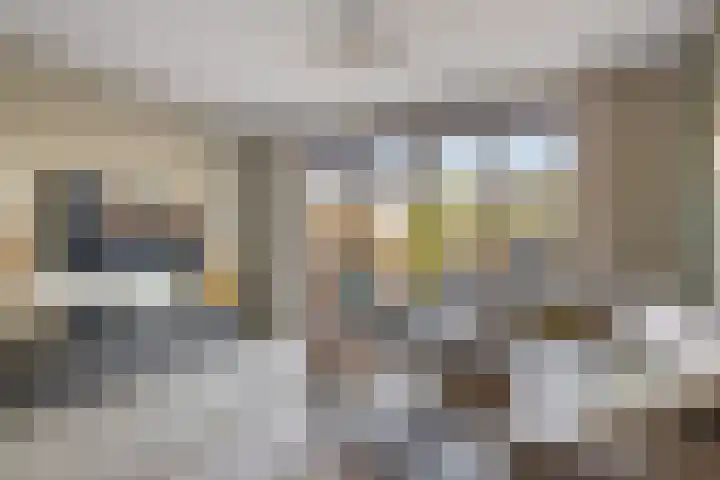 Souverijnsakker 5 Veghel thumbnail 4