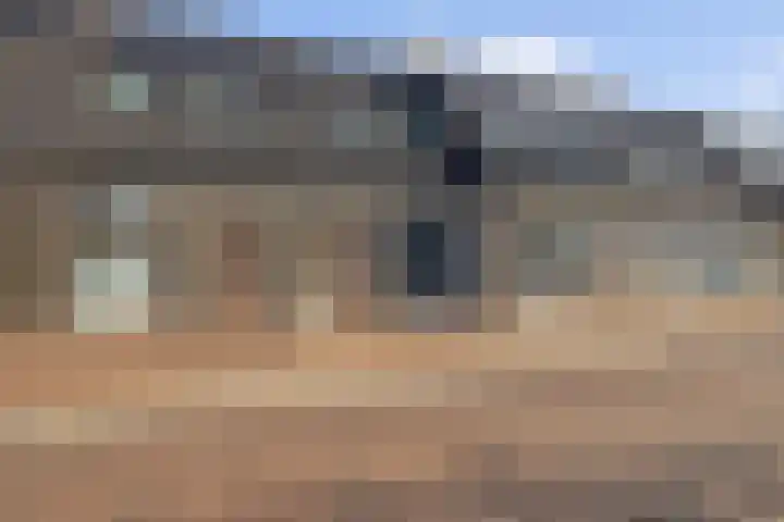 Souverijnsakker 5 Veghel thumbnail 5