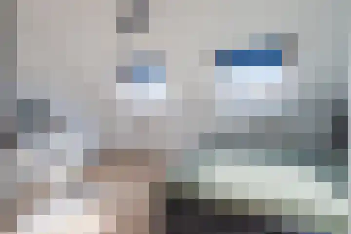 Souverijnsakker 9 Veghel thumbnail 12
