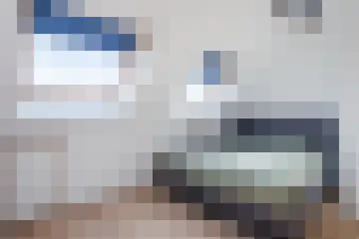 Souverijnsakker 9 Veghel thumbnail 13