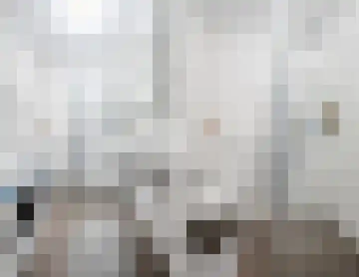 Souverijnsakker 9 Veghel thumbnail 18