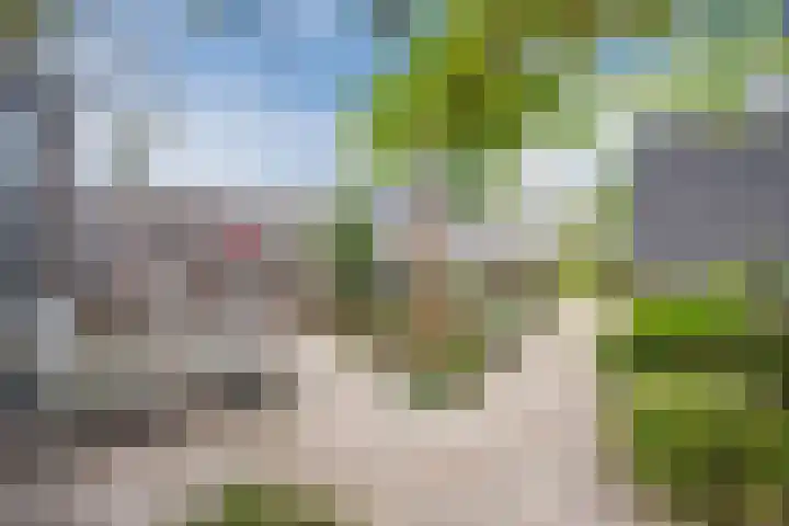Souverijnsakker 9 Veghel thumbnail 19