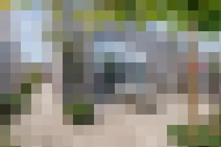 Souverijnsakker 9 Veghel thumbnail 20