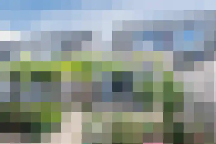 Souverijnsakker 9 Veghel thumbnail 21