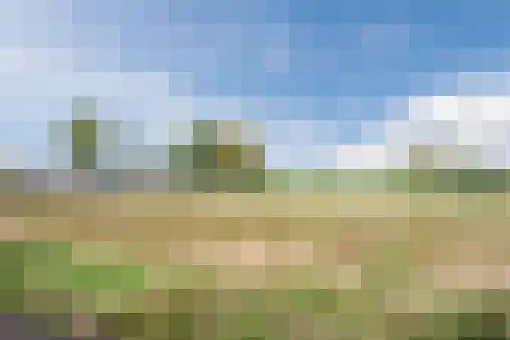 Souverijnsakker 9 Veghel thumbnail 22