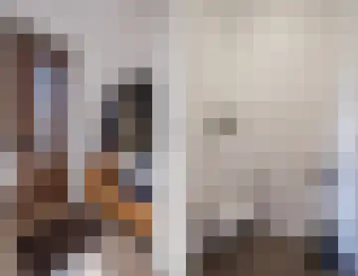 Souverijnsakker 9 Veghel thumbnail 4